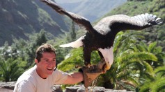 A handler with an eagle. Can you own a lifeform? A handler with an eagle. Can you own a lifeform?